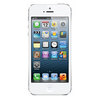 Apple iPhone 5 16Gb white - Фокино
