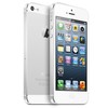 Apple iPhone 5 64Gb white - Фокино